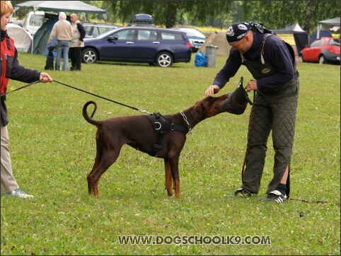 Training camp - Lukova 2007